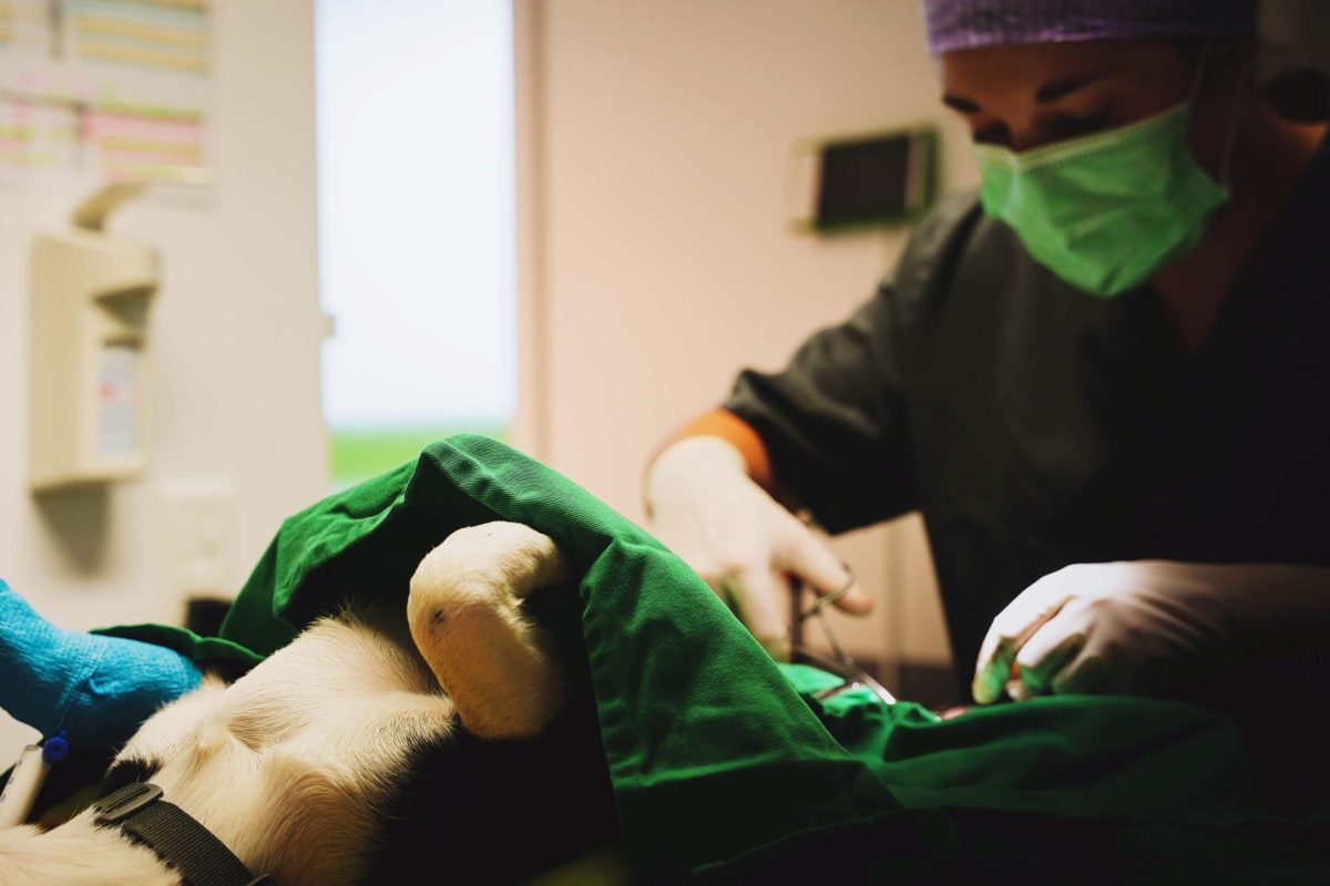 RCP Sem Erro RCP Sem Erro